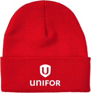 Winter Toque